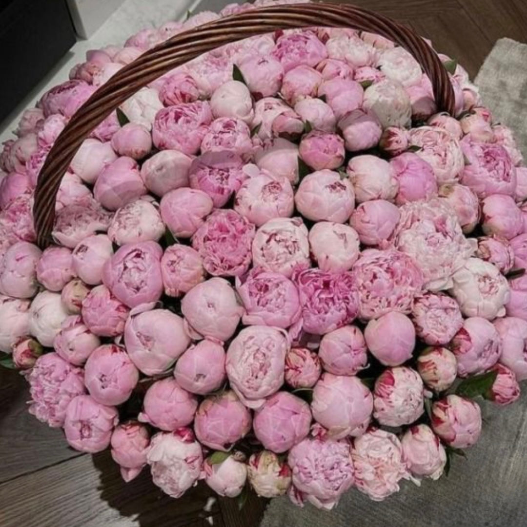 Grand Flower Boxes